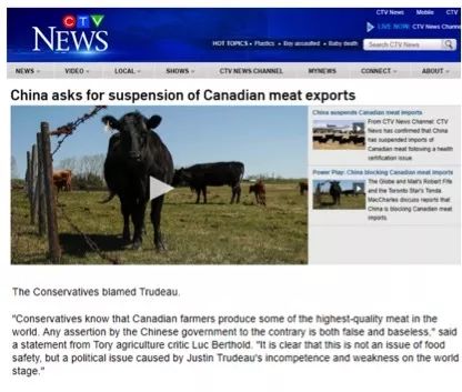 截图来自加拿大CTV新闻网的报道