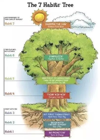 The 7 Habits Tree：美国孩子的7个习惯树|ideas|好习惯|主意_新浪新闻