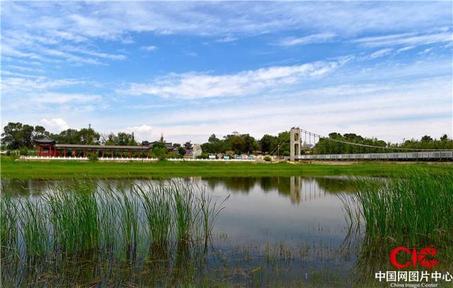 山西朔州:山阴县桑干河湿地公园 治水兴绿古河焕生机