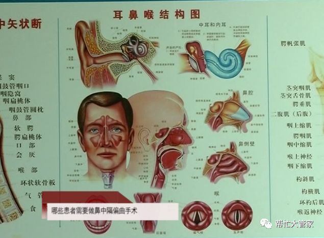 还是被打了,就会出现鼻中隔偏曲或者脱位什么的,这是第一类原因,另外