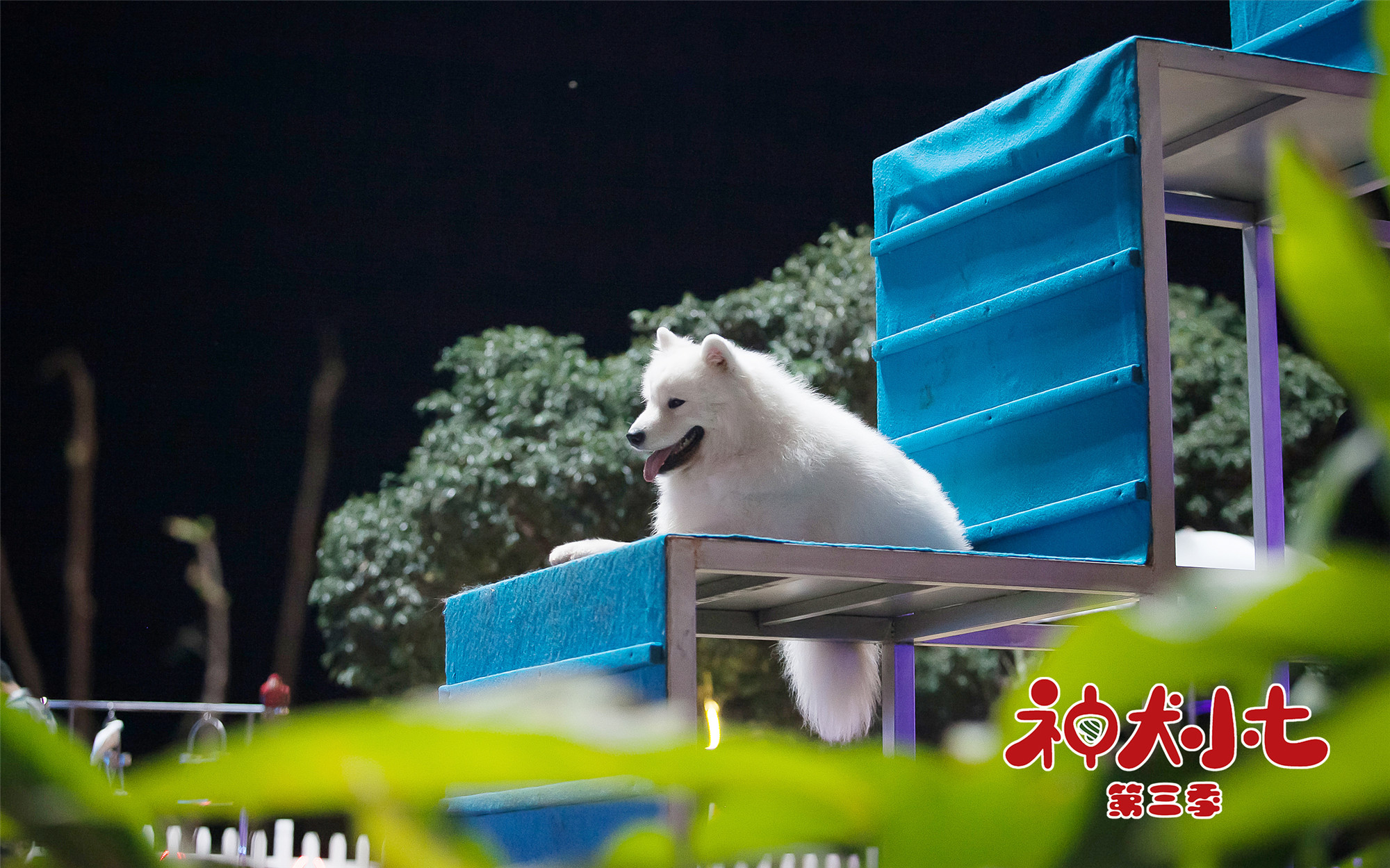 神犬小七3今晚开播神犬英雄联盟热血救援来袭