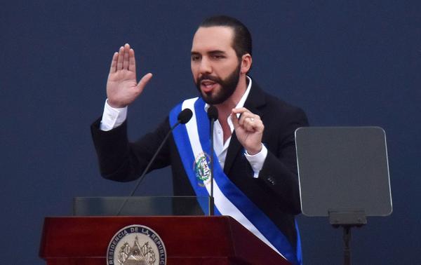 萨尔瓦多总统布克尔图片