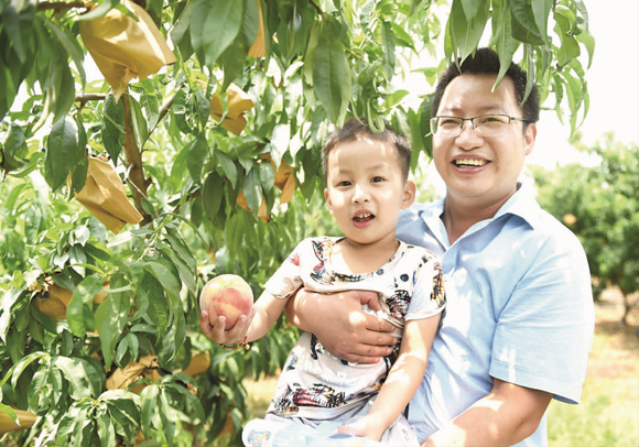 桃子移植官网进入(桃子树什么时候移植) 桃子移植官网进入(桃子树什么时候移植)