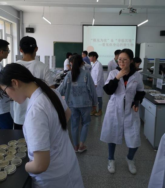 医学院学生以无害细菌为"墨"绘制卡通人物 有助于提高学习兴趣