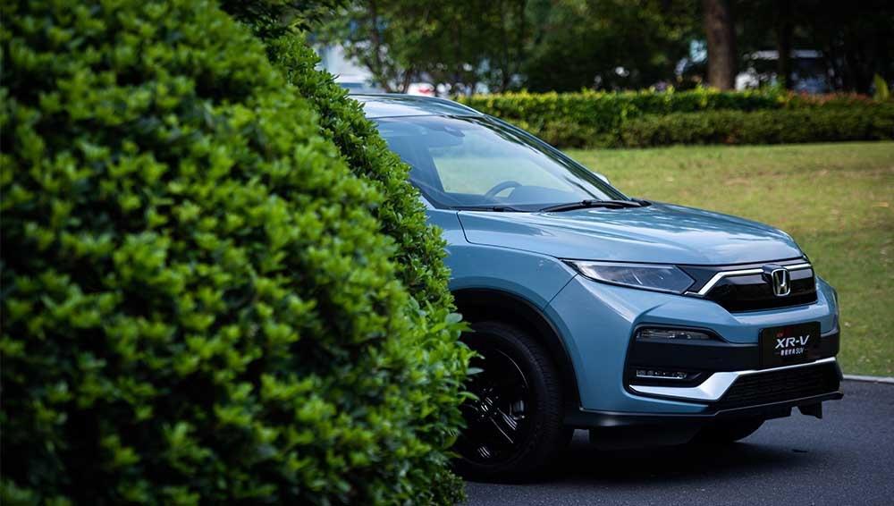 致养牛爱好者丹宁蓝新xrv是下一个绝佳饲养对象