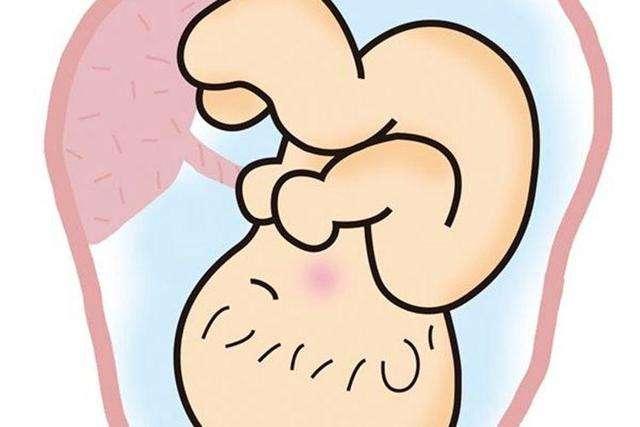 分娩后,胎盘的处理方式有3种,大多数孕妈只能接受第2种