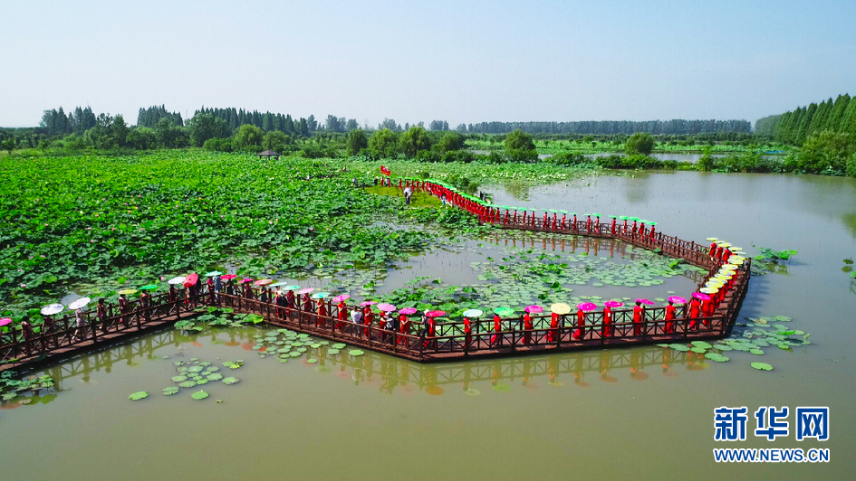 庐江县白湖镇:夏日花海旗袍秀