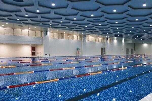 奎文实验初中设小学部,1-6年级同步招生