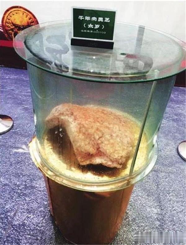 中国太岁的真身传说延年益寿你们知道它是啥东西吗