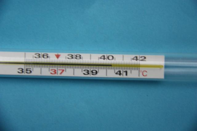 医生说:真有热疗,但高烧不行|癌细胞|体温|温度_新浪新闻