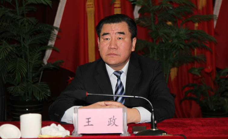 宁夏回族自治区政协常委王政,高振宇被查