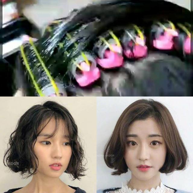 何首乌侧柏组合