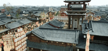 d601-hzfeken4911748.gif