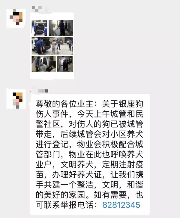 母女惨造四条狗围攻咬到休克 狗主人站一旁称管不了