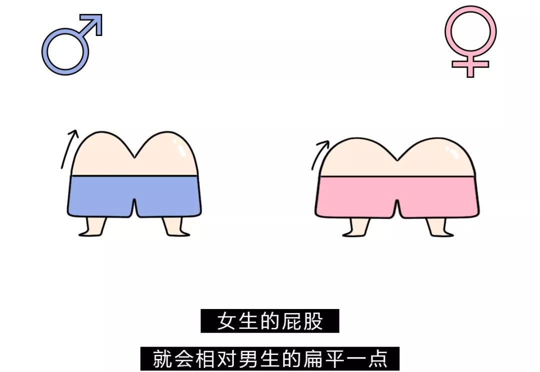 为什么很多男生的屁股比女生的翘