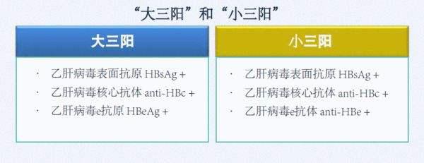 大三阳,即乙肝表面抗原,e抗原,核心抗体阳性;小三阳和大三阳主要区别