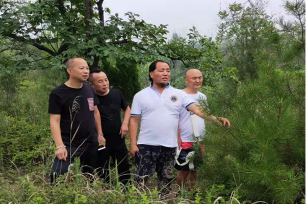 陈铁龙:坚持发展绿色产业初心 践行青山绿水"两山论"|金山|溪源山庄