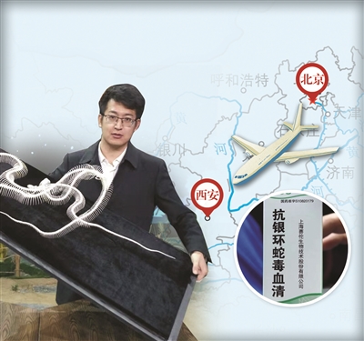 扬子晚报 李学 制图千里送药的史静耸对毒蛇很有研究.