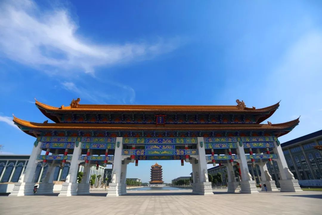 推广丨追梦中医药 今有龙凤堂