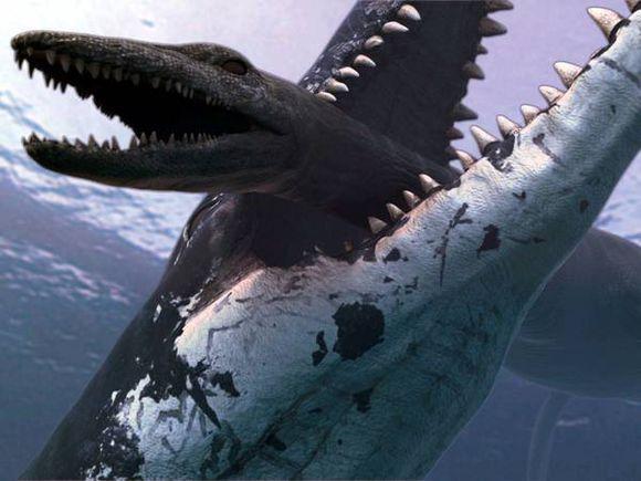 史前海洋巨兽沧龙是怎样的生物它们的体型有多大