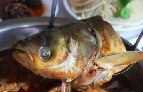 吃鱼时第一筷子夹哪里可以看出这个人的性格