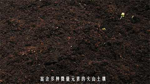 480_270gif 动态图 动图