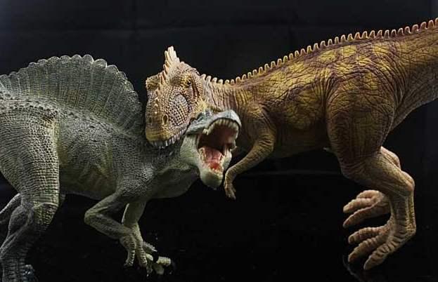 霸王龙并非最大肉食恐龙,这三种恐龙与其不相伯仲,有一种在我国