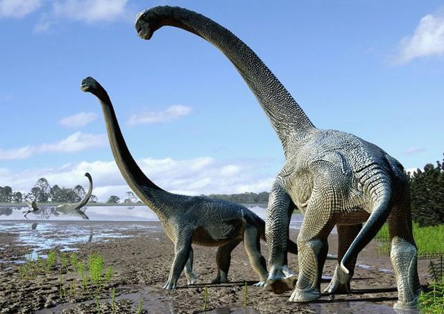 最大的恐龙前十名图片
