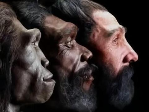 进化论再遭质疑,进化论存在诸多证据,为何还有人相信神创论?|进化论|神创论|人类_新浪新闻
