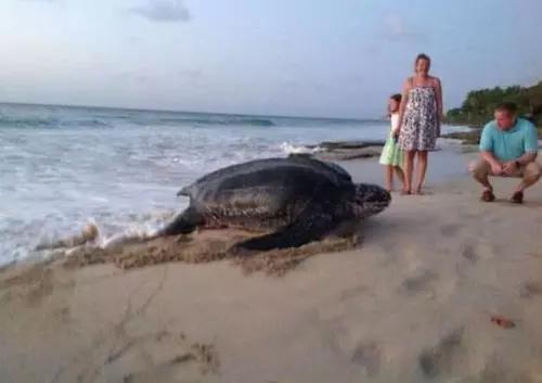 新人在海边举行婚礼,突然出现不明生物,新郎吓坏,新娘开心!休闲区蓝鸢梦想 - Www.slyday.coM 新人在海边举行婚礼,突然出现不明生物,新郎吓坏,新娘开心!休闲区蓝鸢梦想 - Www.slyday.coM