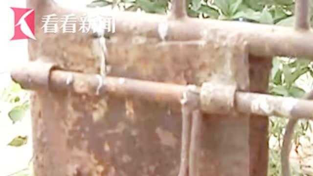 视频|家人扫墓时发现骨灰盒被盗 对方喊话:拿10万来换