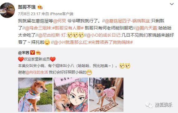 宋茜领养碗妹 蘑菇屋锅碗瓢盆只剩瓢哥 网友喊话彭昱畅领养