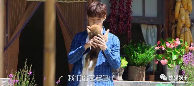 宋茜领养碗妹 蘑菇屋锅碗瓢盆只剩瓢哥 网友喊话彭昱畅领养