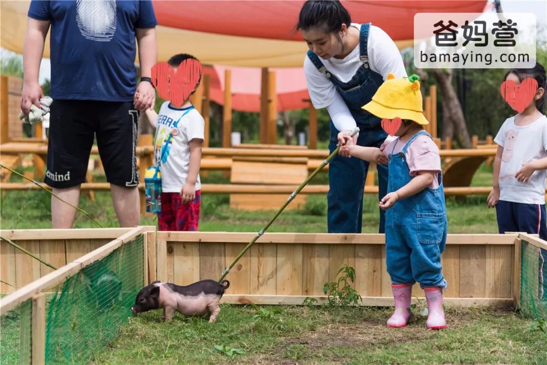 仅699元起/晚!实拍赶小猪,小小农夫市集,无动力乐园,亲子别墅!