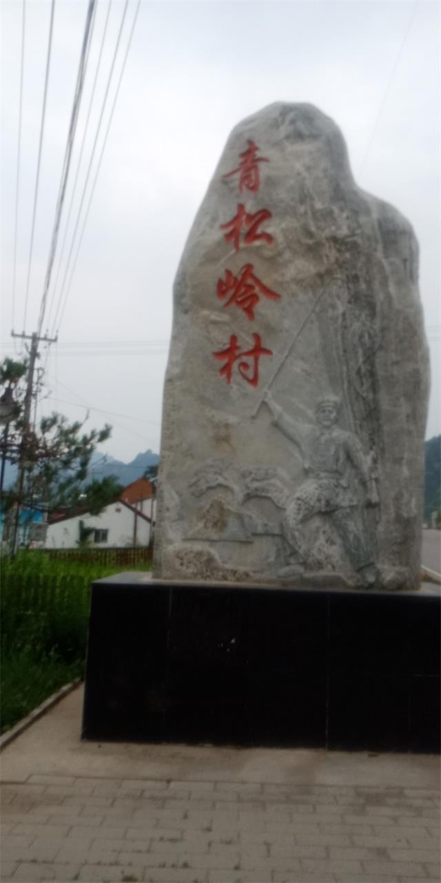 承德兴隆青松岭娇娇农家山野菜和农家特色菜令人回味无穷
