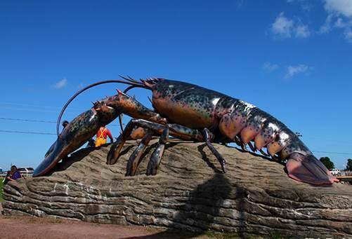 世界最大的龙虾,长1米多寿命有上百年,你一顿能吃完吗?