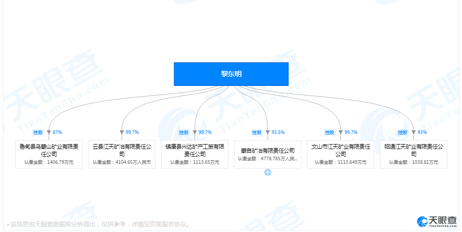 黎东明是多家公司实际控制人