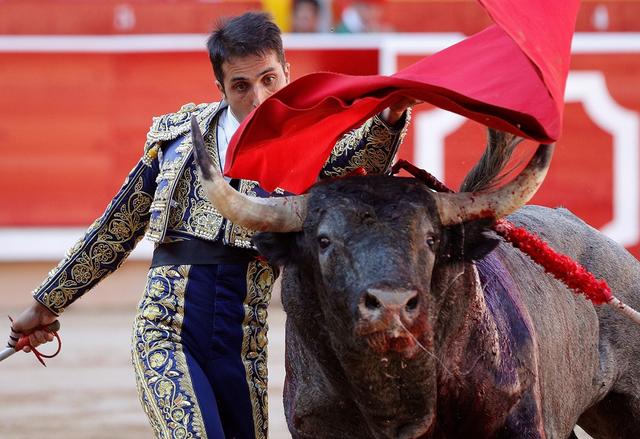 西班牙潘普洛纳奔牛节:斗牛士连人带马被蛮牛撞倒