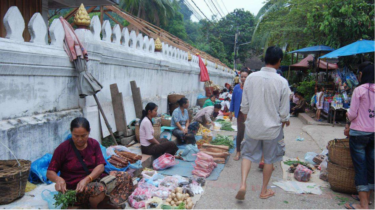 来到老挝农村赶集,刚认识的老挝妹子相中我朋友,要和他结婚!