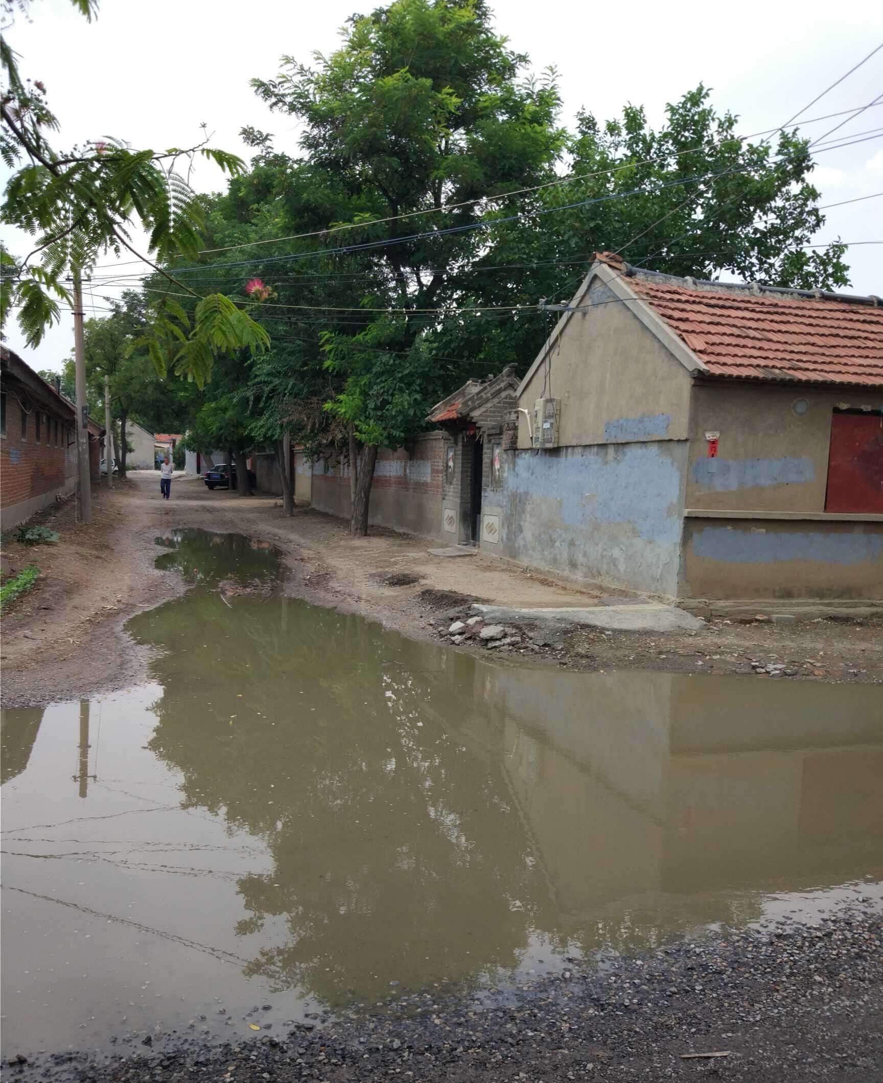 寒亭这个村小猪佩奇最喜欢因为一下雨到处是水坑