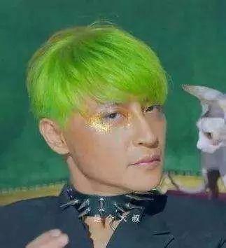 但陈志朋比较另类,他不仅染草绿色头发,还穿着性感,极力想表现自己的