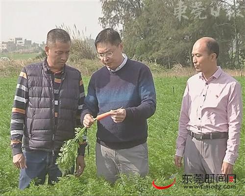 受访者供图从热闹的揭阳市区出发,100公里之外的惠来县靖海镇三面