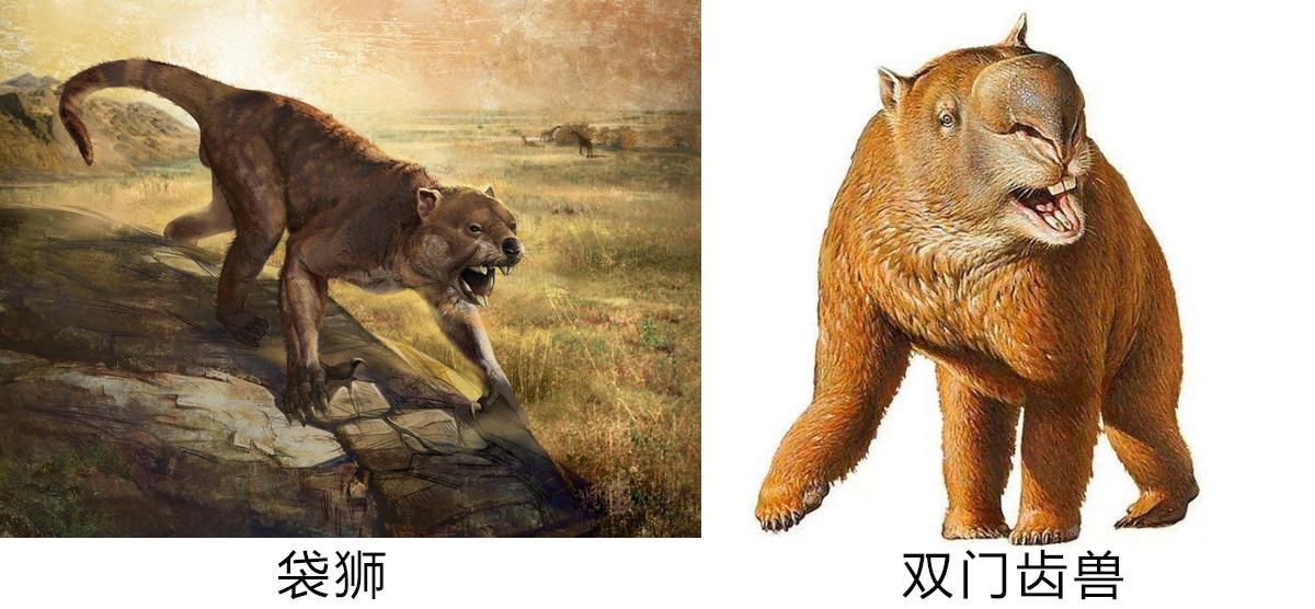 形容老虎的成语是什么_魂啥不舍是什么成语(3)