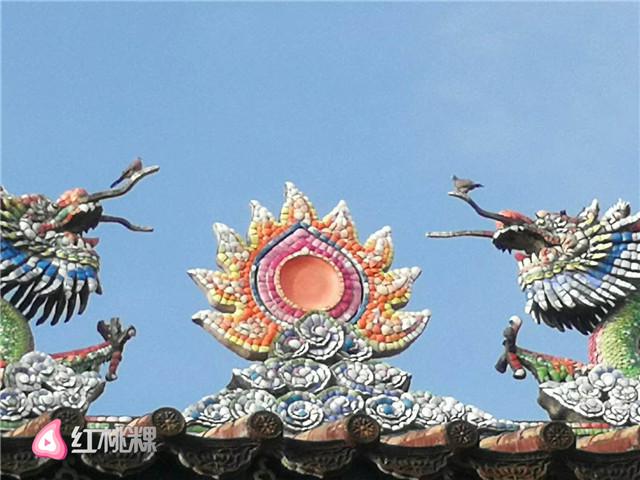 两只鸟儿各自栖在屋顶两条龙的龙须上.