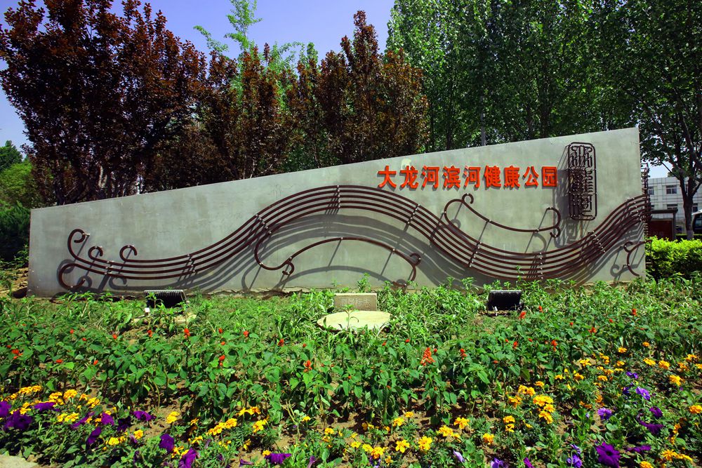 大兴安定镇新植12万平米荷花整治让河道成生态水廊