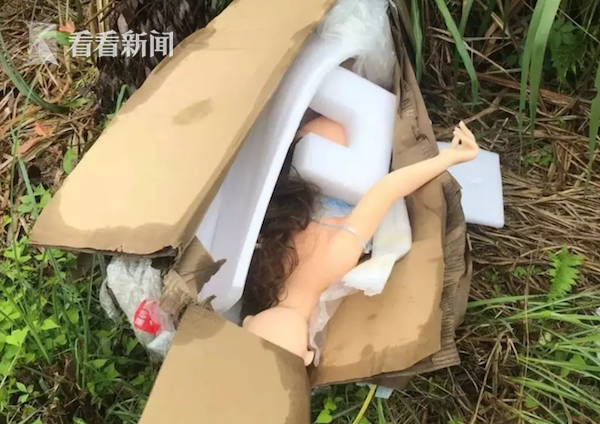 视频|路边纸箱内惊现"女尸"?法医一看惊呆了.