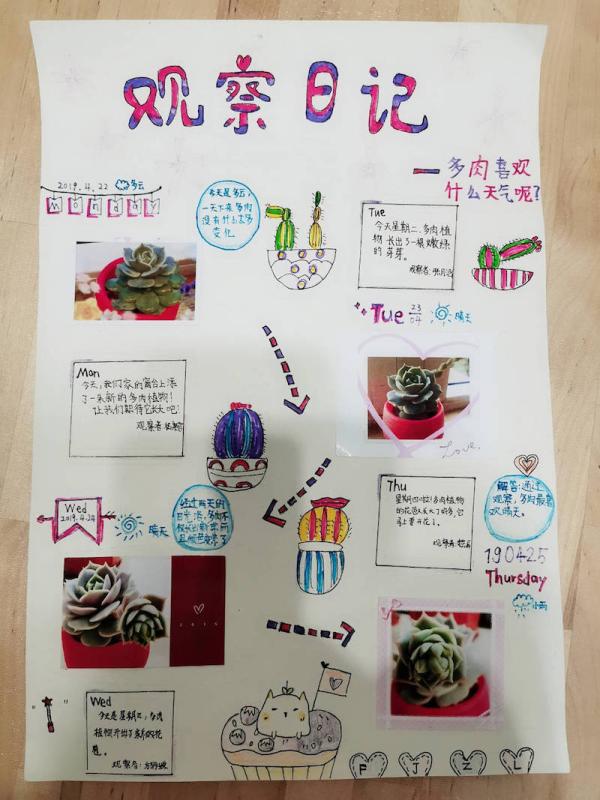 澎湃寒暑假征稿选登| 多肉植物喜欢什么天气