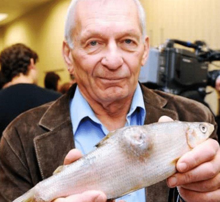 日本变异鱼肉质布满白色斑点鳞片长肉瘤核辐射造成的后果