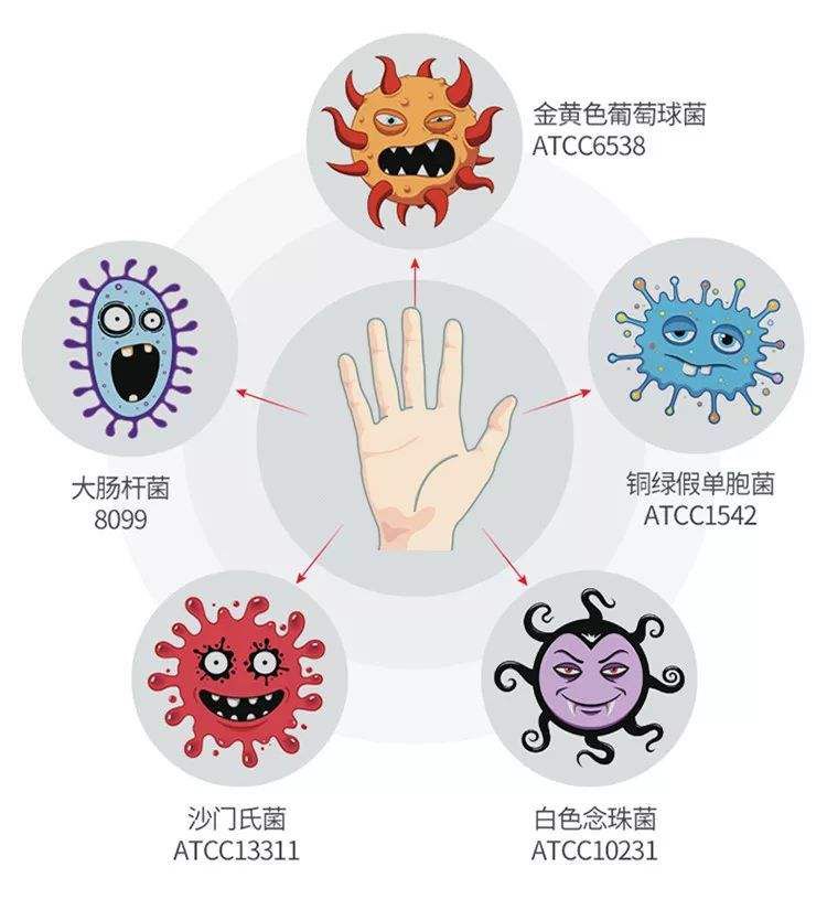 脓疱疮的传染性极强,容易造成在家中或者学校中多人同时患病,主要