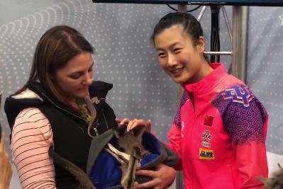 丁宁战胜伊藤美诚心情大好,在训练馆与"袋鼠宝宝"合影表情可爱